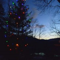 Fotografie alba Rozsvícení vánočního stromu 2019